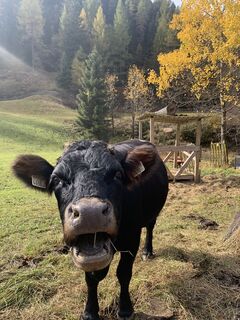 Foto von DIIM entlang der Tour