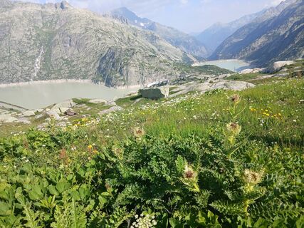 Fotografija s spletne strani Lacika Kovács na poti