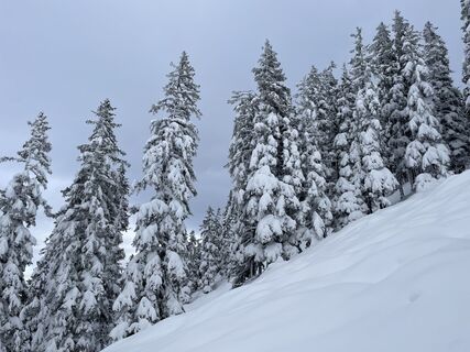 Foto von Laurenzunger entlang der Tour