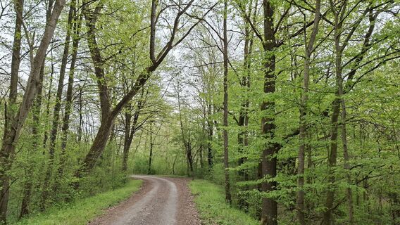 Foto von Werner Veigel entlang der Tour