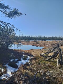 Photo de Jan Brinker le long du parcours
