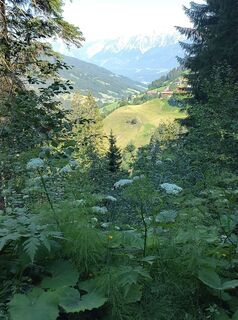 Foto von Michael Hanewinkel entlang der Tour