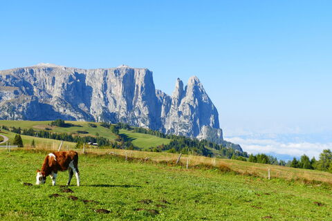 Schlern