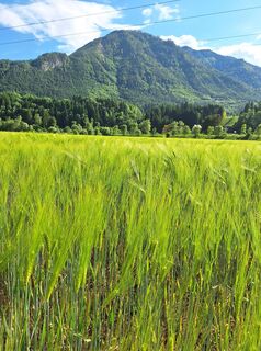 Fotó a Dagmar Hofer honlapról a túra során