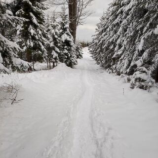 Foto von SiMy Samitz entlang der Tour