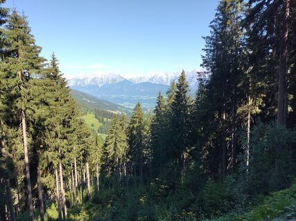 Foto von Michael Hanewinkel entlang der Tour