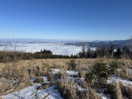 Foto von Irmi Lechner entlang der Tour