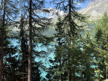 Foto von Astrid entlang der Tour