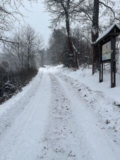 Fotografija s spletne strani Vladik82 na poti