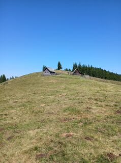 Foto von Irmgard Schinnerl entlang der Tour