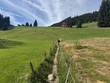 Fotografija s spletne strani Jeroen na poti