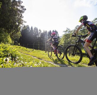 Familientour durch Wiesenlandschaft rund um Willingen