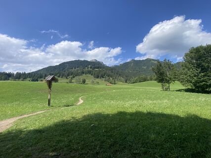 Fotografia z Voltzi na trase