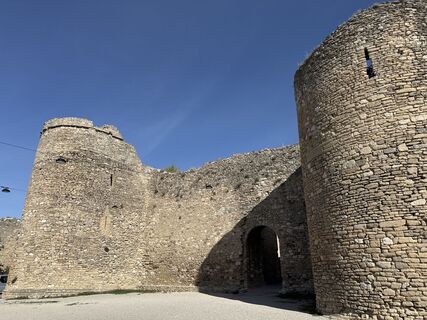 Zdjęcie z Grizzli wzdłuż trasy