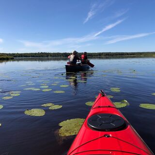 Särämäjärvi, Kajaani