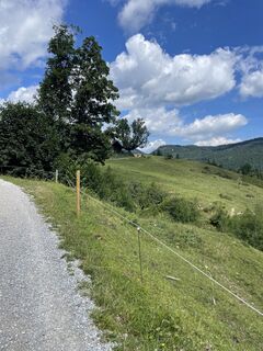 Photo de Helmut Fiederer le long du parcours