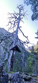 Fotó a alig honlapról a túra során