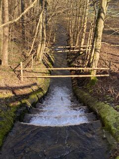 Fotografia z Arthur Muskalla na trase