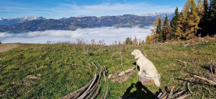 Foto von helmut sonnberger entlang der Tour