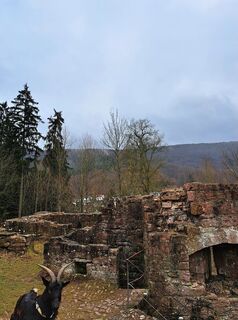 Fotografija s spletne strani Schwartzhox na poti