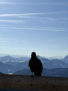 Foto från Julian Hieu under resans gång