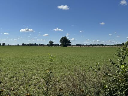 Photo de Alexander Zuber le long du parcours