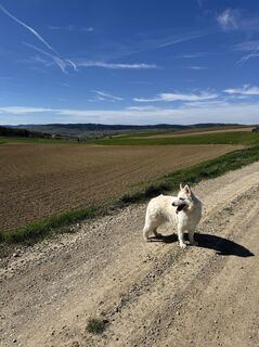 Photo de Radelbauer Anja le long du parcours