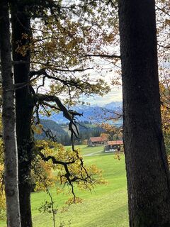 Foto von Andrea Vogt entlang der Tour