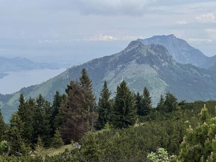 Zdjęcie z Wenzl73 wzdłuż trasy