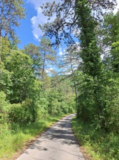 Fotografia z nordbergschnecke na trase