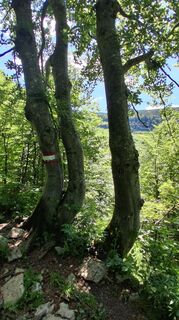 Foto von Enkidu55 entlang der Tour