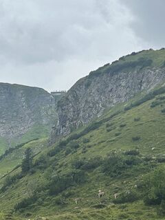 Fotografija s spletne strani Ra Butzert na poti