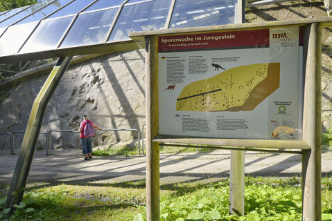 Wandern auf dem DiVa-Walk