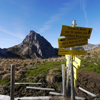Am Gehrenjoch - im Hintergrund die Köllespitze