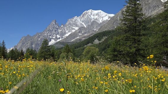 Foto von Wolter Bouknegt entlang der Tour