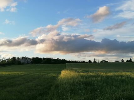 Fotografija s spletne strani luyyy na poti