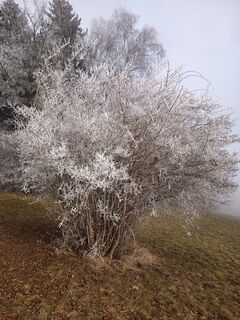 Foto von Lehnerchristian entlang der Tour
