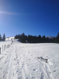 Fotografia z Ric Hard na trase