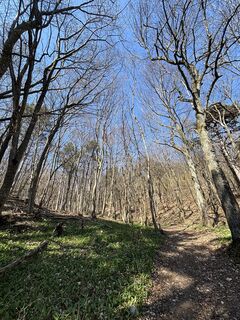 Foto de RS76 a lo largo del recorrido