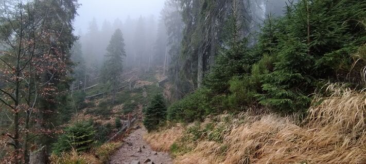 Foto de Sylwiasuchy76 a lo largo del recorrido