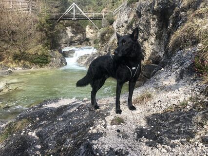 Foto von BenHobo entlang der Tour