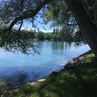 Wanderweg am Rheinufer