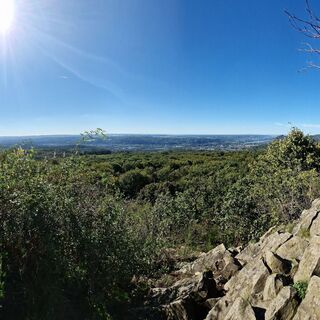 Ausblick Leyberg