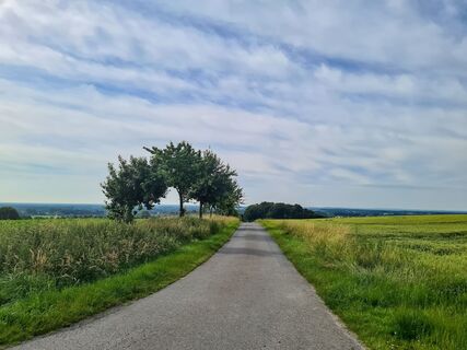 dülmen-radweg.rorup-01