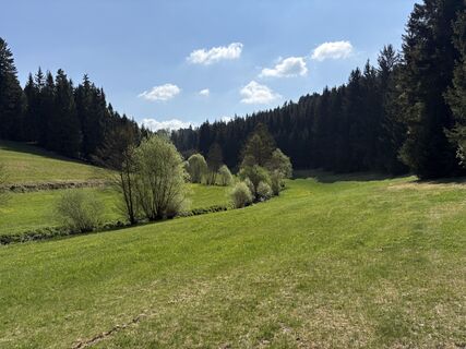 Fotografie z Stefan Wurm na trase