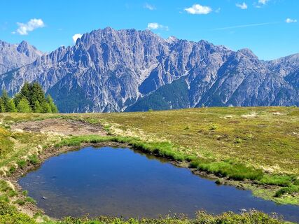Fotografija s spletne strani mmecki na poti