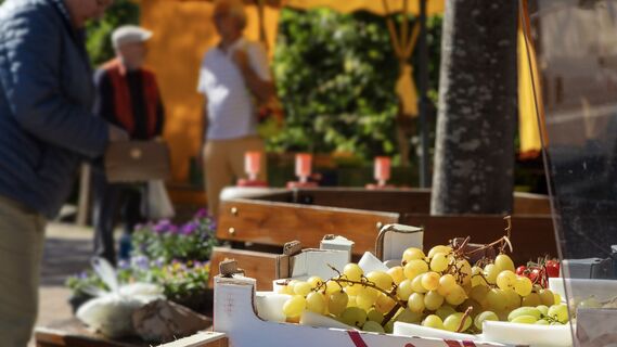 Wochenmarkt in Steinen