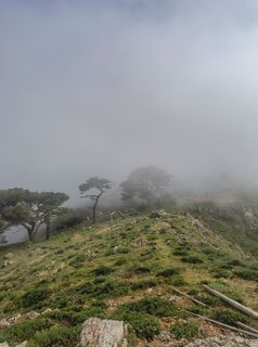 Zdjęcie z corrado wzdłuż trasy