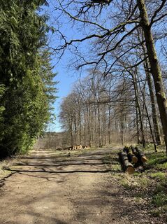 Fotografija s spletne strani Wladimir Zenner na poti