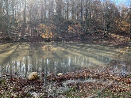 Fotografija s spletne strani Mister no zagor na poti